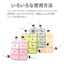 画像をギャラリービューアに読み込む, ICE CARRY【送料無料】 ※代引き不可