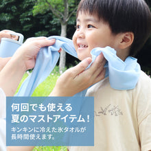 画像をギャラリービューアに読み込む, ヒヤシーナ 【送料無料】