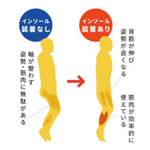 画像をギャラリービューアに読み込む, BMZ アシトレ インソール 【送料無料】 ※代引き不可