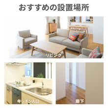 画像をギャラリービューアに読み込む, BABYDAN ベビーゲート プレミア 【送料無料】