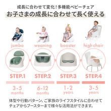 画像をギャラリービューアに読み込む, ワイズチェア【送料無料】