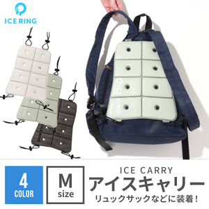 ICE CARRY M 【送料無料】