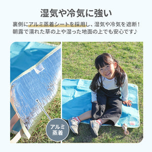 レジャーシート 【送料無料】