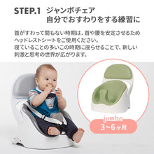 画像をギャラリービューアに読み込む, ワイズチェア【送料無料】
